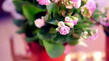 抖音新剧上线#苏袀禾＆徐思祁 - 七年难孕，再婚后她一胎双宝 (上)