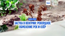 Засуха в Венгрии усиливается: рекордное обмеление озёр и рек