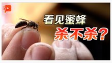 这群“毛孩”对人类贡献大 但许多人第一反应是烧死它？