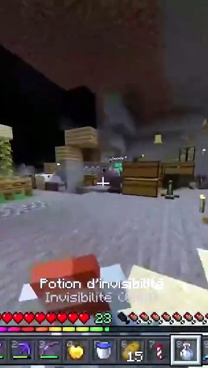 Je le troll en invisible xD  #minecraft  #clips