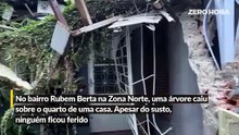 Vendaval causa transtornos em Porto Alegre