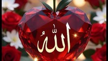 ✨ سرداریاں مختاریاں نعت ﷺ