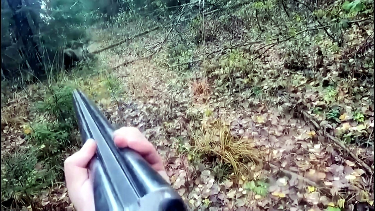 Chasseur russe face à une ourse protectrice : sang-froid en forêt