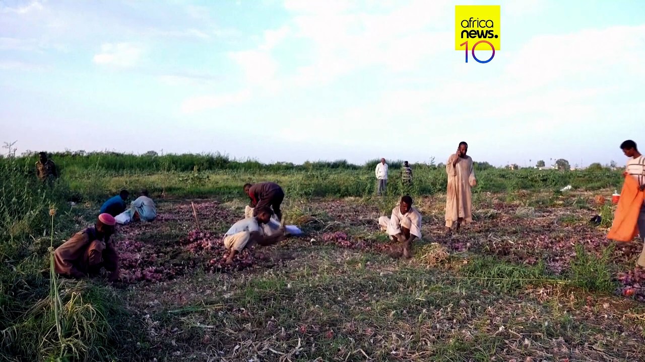 Soudan : la relance de l'agriculture plombée par le conflit au Moyen-Orient