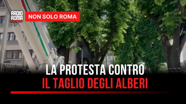 Roma sfregiata con una furia ideologica : Pro Italia lancia la protesta contro i tagli degli alberi