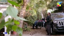 Muamma Drama Episode 29