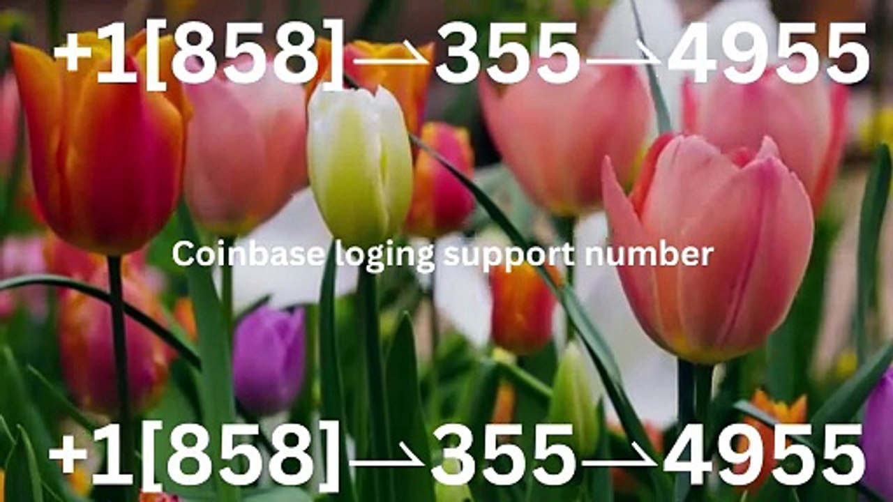 Coinbase™ CuStomer SuPPoRT™ USA Help Desk™ Number: 2026 Contact Numbers