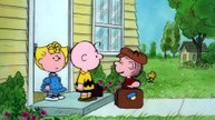 Bon.Voyage.Charlie.Brown.and.Dont.Come.Back