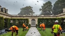 Giant Butterfly Topiary – A Magical Living Garden Masterpiece 🦋🌿