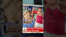 ಸಲೂನ್‌ನಲ್ಲಿ ಶಾಂತವಾಗಿ ಕುಳಿತು ಹೇರ್ ಕಟಿಂಗ್ ಮಾಡಿಸಿಕೊಂಡ ಮಂಗ! | #shorts #monkeyhaircut #chamarajanagar