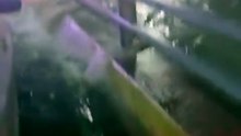 🌧️🌊 Esta noche se registraron intensas lluvias que provocaron inundaciones en la zona de Av. Fidel Velázquez y Barragán, en los límites de San Nicolás y Monterrey. Autoridades piden precaución ante posibles afectaciones viales.