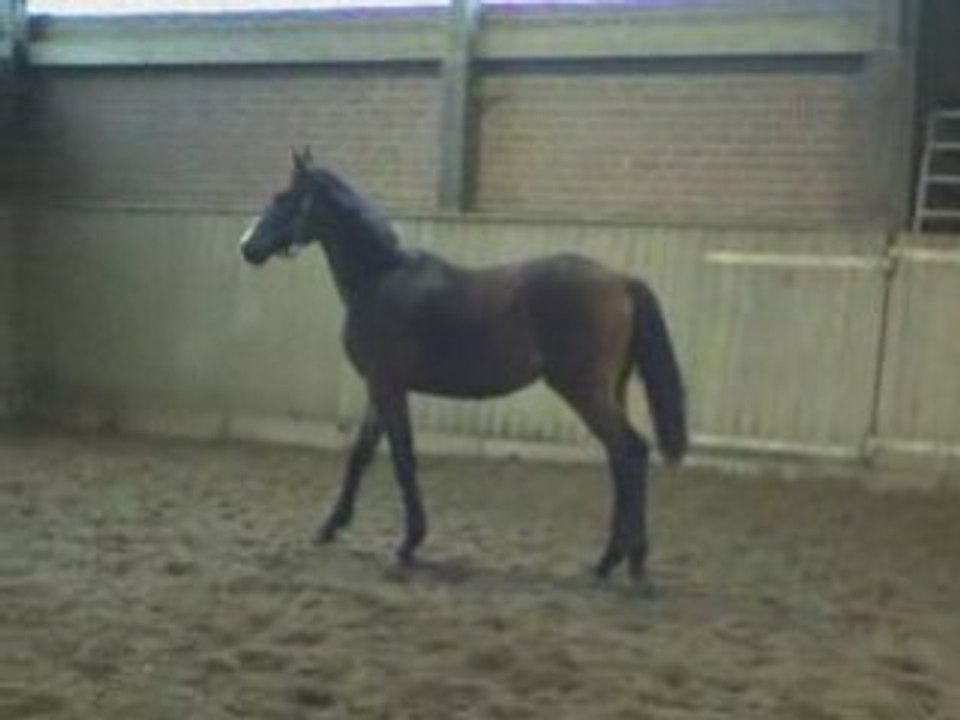 Royal_Bend