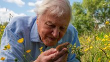 Sir David Attenborough turns 100 as tributes celebrate his lasting legacy