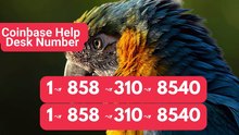 ≋ ⁂≋ 《Coinbase®》CUSTOMER CARE©SUPPoRT℗ Phone NuMber (OfficiAl)