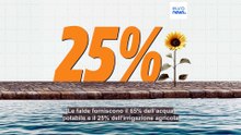 In quali Paesi d'Europa l'acqua del rubinetto è più sicura?