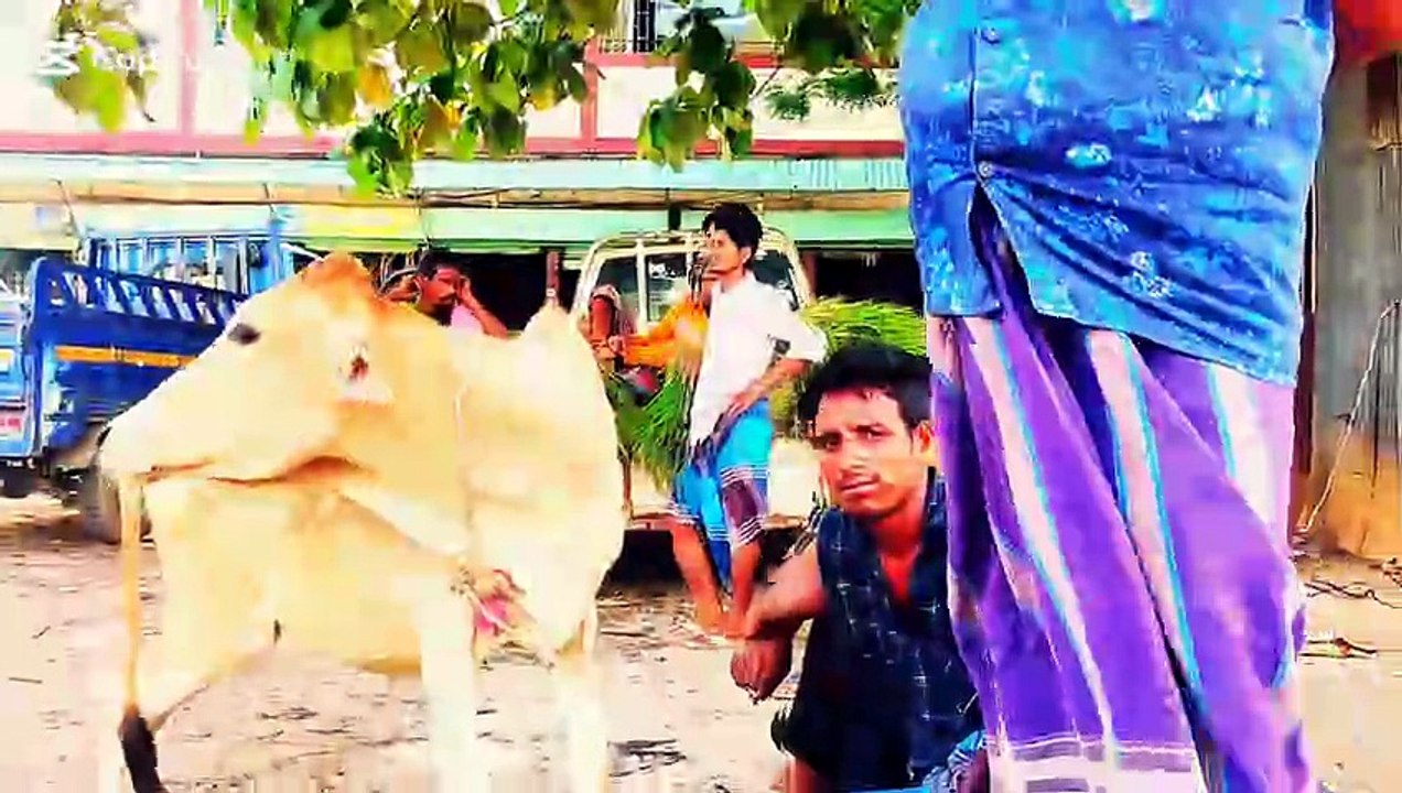 শান্তিময় প্রকৃতির দৃশ্য যা আপনার মন জুড়িয়ে দেবে | Most Relieving & Peaceful Nature Scenery