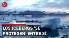 Un estudio descubrió que los icebergs sobreviven más tiempo cuando permanecen agrupados.