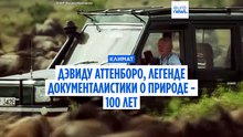Дэвиду Аттенборо - 100 лет. Он посвятил жизнь популяризации природы