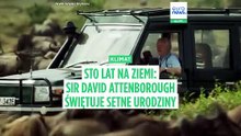 Stulecie zmian: Planeta Ziemia oczami Davida Attenborough, gdy światowy skarb kończy 100 lat