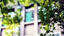 Feel What You Feel Ep 8 Engsub