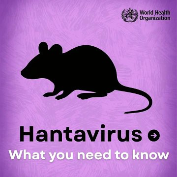 Les hantavirus sont des virus zoonotiques qui infectent naturellement les rongeurs et peuvent occasionnellement se transmettre à l'homme.