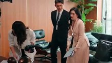 Before & After Marriage, Mr. Fu's Rare Deep Affection