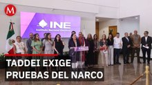 Taddei, INE, Sinaloa, elecciones, narco, política, México, Rocha, crimen, denuncias