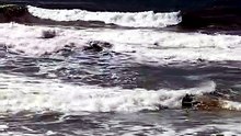 🌬️The sound of the waves in Isla Cristina… peace for the soul 🌊✨☀️