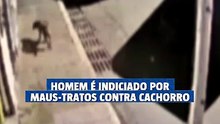 Homem é indiciado por maus-tratos contra cachorro em Rio Paranaíba