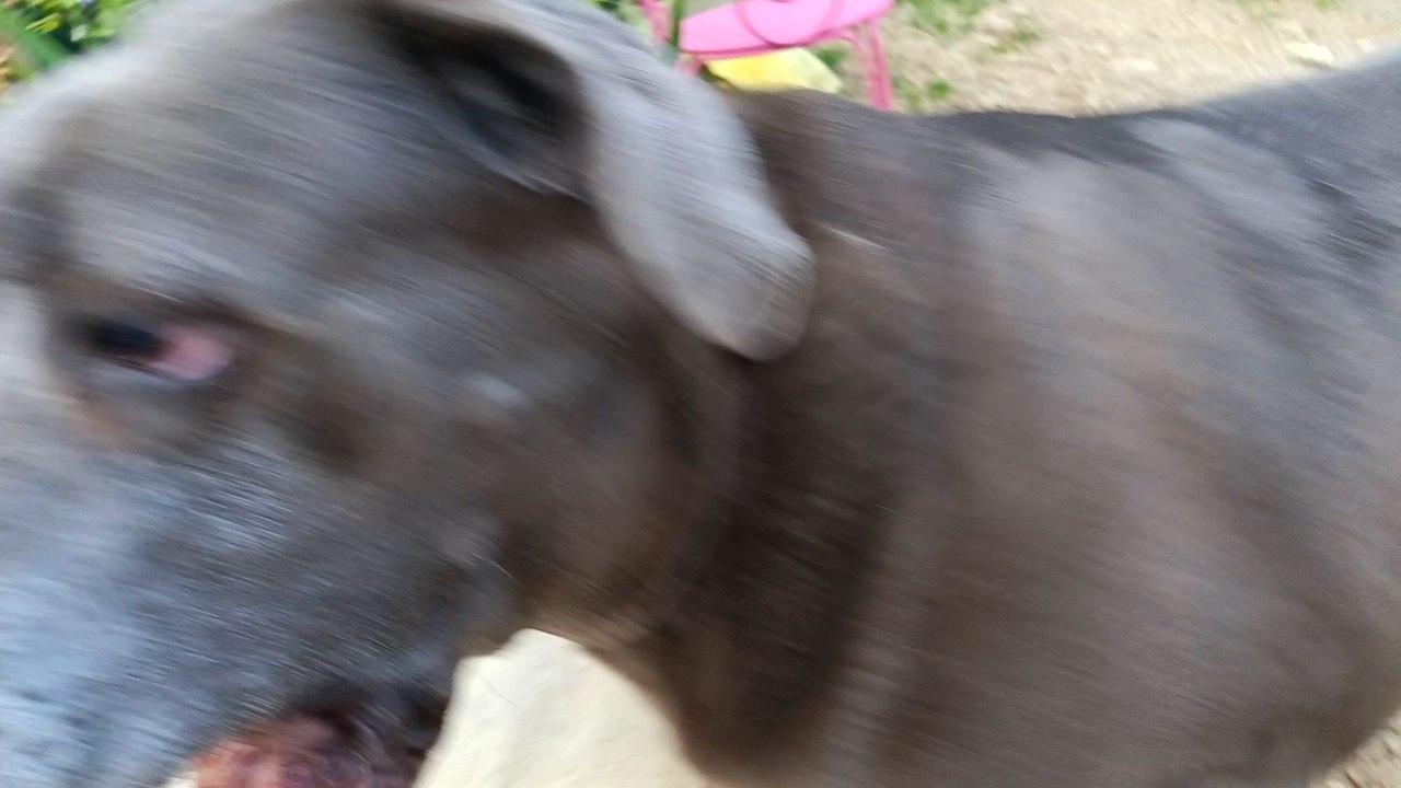 Minka Tsunami Ouesty