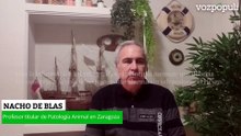 Nacho de Blas: Experto en Patología Animal de Zaragoza explica el Hantavirus y su transmisión