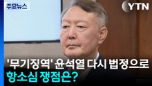 '무기징역' 윤석열 다시 법정으로...항소심 핵심 쟁점은? / YTN