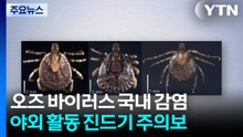 일본에만 있던 '오즈 바이러스' 국내 첫 감염...진드기 주의보 / YTN