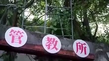 The fake sister’s game chinese drama [Multi Sub] [Full Movie] [Watch Free Online]Full EP - Full
