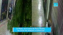 La Plata: en la zona de Plaza Rocha, no cesan a los ataques a comercios