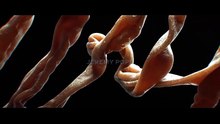...The ...Beauty ...S01E05 [Full Movie] [Full Episodes]Full EP - Full
