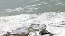 Suspenden las clases en Mar del Plata por el temporal