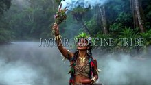 Wings and Wind | Jaguar Medicine Tribe