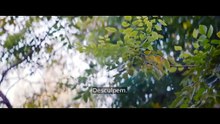 Após Sundown Engsub | Filme Completo em Português