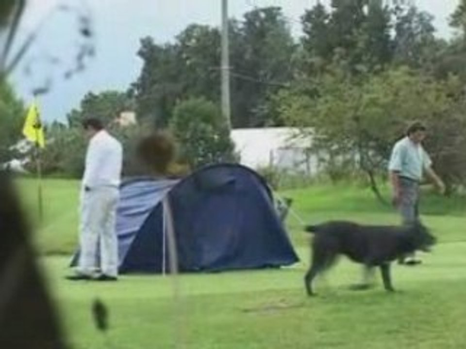 Pascal Sellem Cameras Cachees 13/31