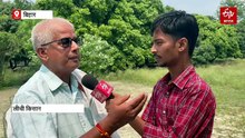 'स्टिंक बग' के कारण बिहार में लीची की 200 एकड़ फसल बर्बाद, कैसे करें पहचान और प्रबंधन?