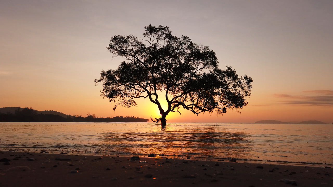 Sunset and the sound of the waves are something that brings comfort.