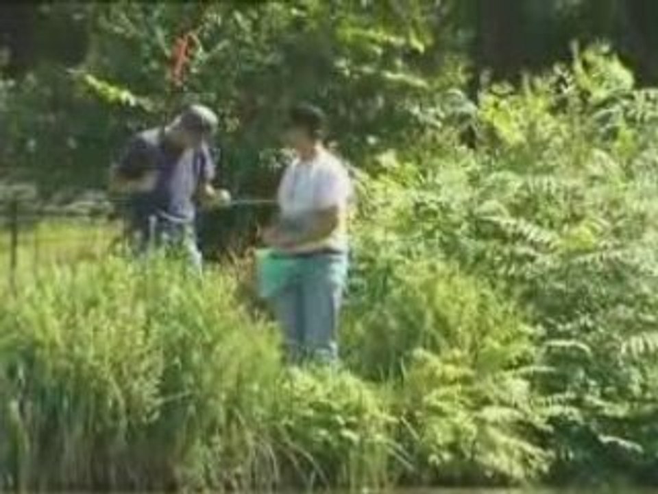 Pascal Sellem Cameras Cachees 12/31