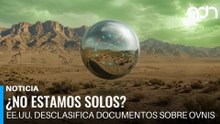 ¿No estamos solos?