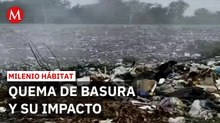 Crisis en Juchitán: 46 basureros a cielo abierto amenazan la salud en Oaxaca | Milenio Hábitat