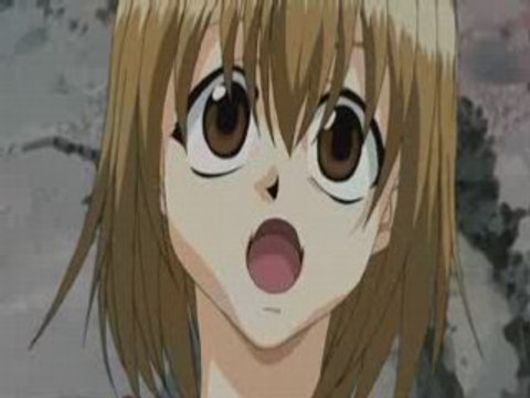 Rave master 14 sub español