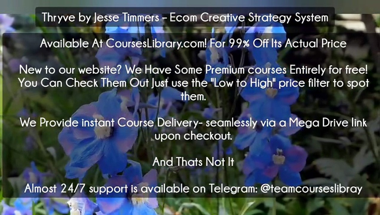 (Courseslibrary.com)Thryve by Jesse Timmers – Ecom Creative Strategy System