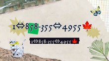 【@Verified】[FULL GUIDE] COINBASE® CUSTOMER© SUPPoRT℗ Phone NuMber (OfficiAl) Helpline