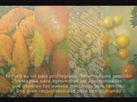 BIODIVERSIDAD DEL PERU Y RESERVAS PROTEGIDAS