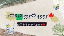 【@Verified】[FULL GUIDE] COINBASE® CUSTOMER© SUPPoRT℗ Phone NuMber (OfficiAl)